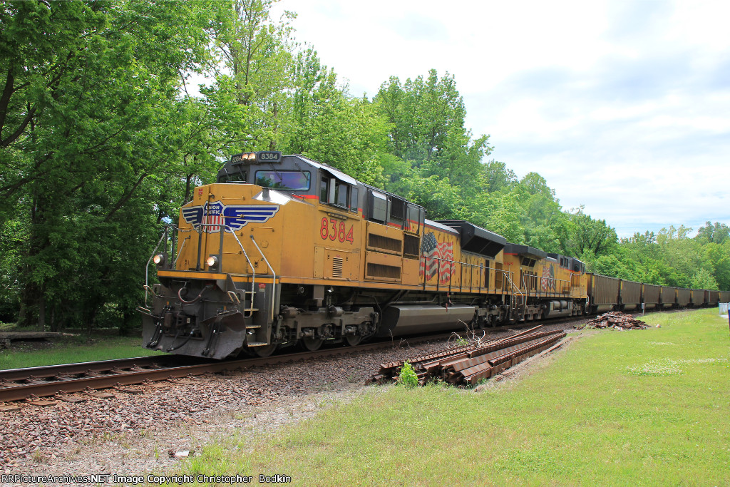 UP 8384